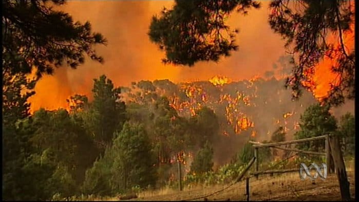 Victorian Bushfire Insurance Loss Assessment
